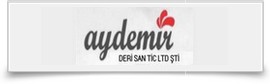 aydemir